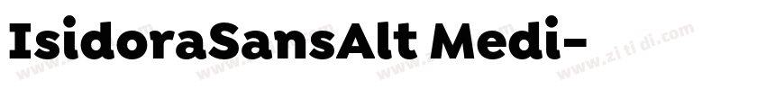 IsidoraSansAlt Medi字体转换